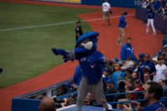 Ace - Toronto Blue Jays Mascot